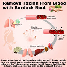 Load image into Gallery viewer, Burdock Root Capsules 