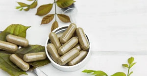CHANCA PIEDRA - Kidney, Liver & Urinary Track Cleanse 