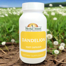 Load image into Gallery viewer, Dandelion Root Capsules - 500mg Each - (Taraxacum Officinale) herbal-islandstore