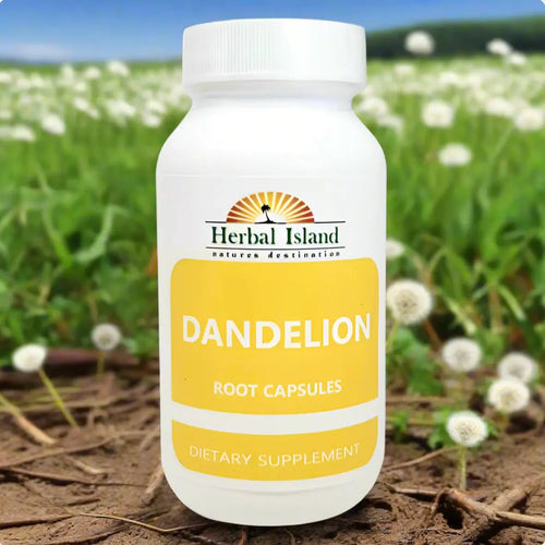 Dandelion Root Capsules - 500mg Each - (Taraxacum Officinale) herbal-islandstore