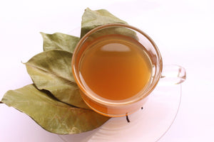 Natural Graviola-Soursop-Tea-Leaves.jpg