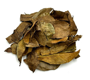 Dried-Soursop-Leaves-Natural Graviola.jpg