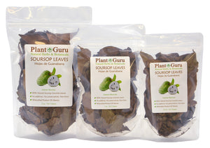 Soursop-Leaves-Natural-Botanticals