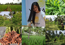 Load image into Gallery viewer, Tumeric Curcumin with Black Pepper 5000mg Herbal Supplement