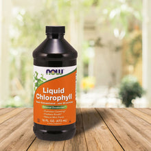 Load image into Gallery viewer, Liquid Chlorophyll - 16 oz FRESH,