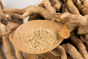 Tongkat Ali 200:1 Root Extract Powder Capsules 500 mg